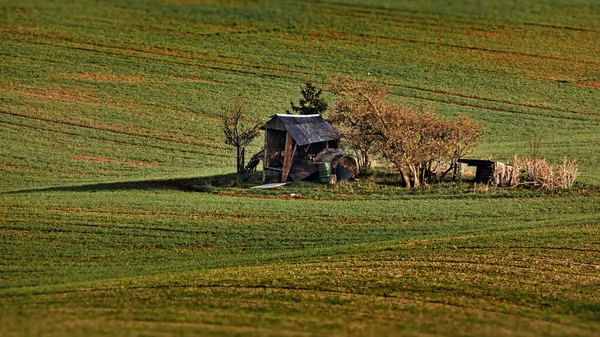 Egy Gyönyörű Felvétel Egy Zöld Mezőről Szalmabálákkal Egy Búzafarm Hátterében — Stock Fotó