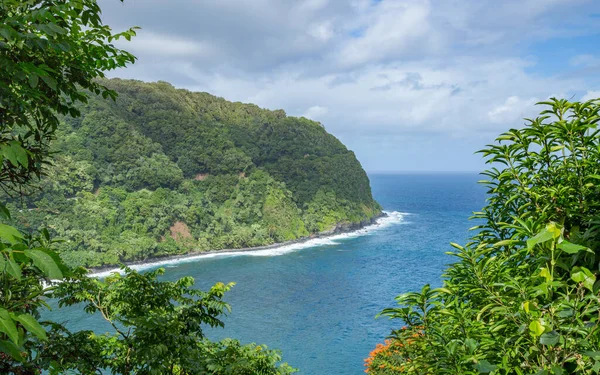 Yeşil Ağaçları Denizleri Olan Güzel Tropikal Plajlar — Stok fotoğraf