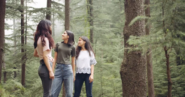 Gruppe Junger Leute Spaziert Wald — Stockfoto