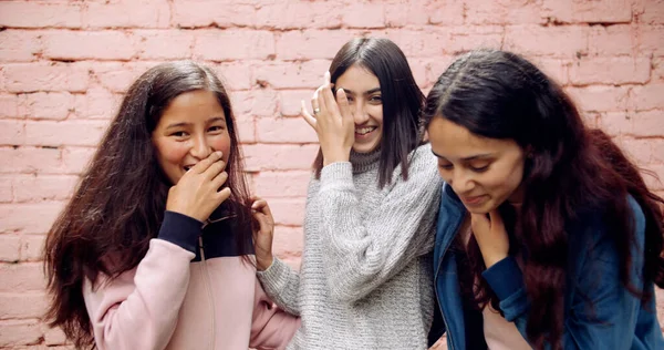 Група Різноманітних Молодих Жінок Друзів Розважаються Разом — стокове фото