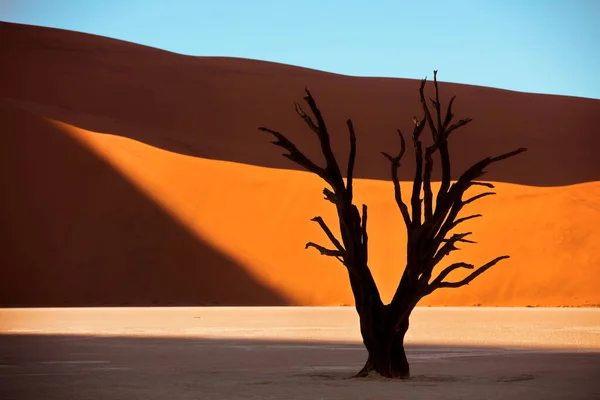 Hermoso Atardecer Desierto —  Fotos de Stock