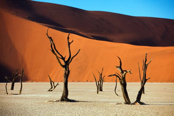 Hermoso Paisaje Del Desierto Namib Sossusvlei Namibia — Foto de Stock