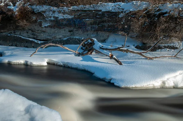 Zugefrorener Fluss Wald — Stockfoto