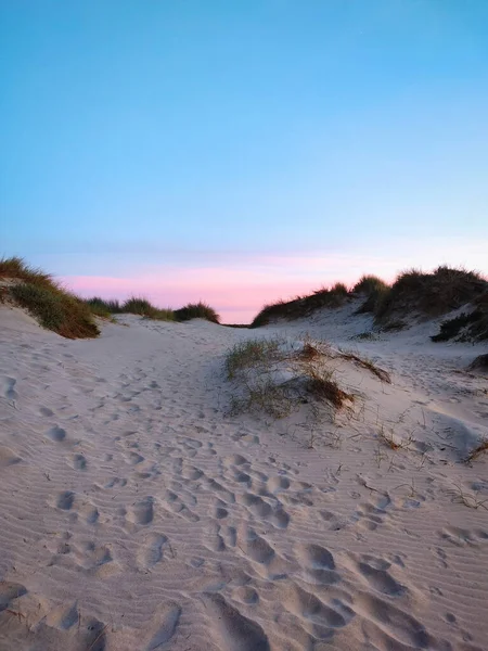 Schöne Aussicht Auf Die Dünen Der Ostsee — Stockfoto