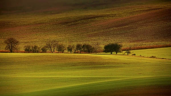 Hermosa Vista Del Campo — Foto de Stock