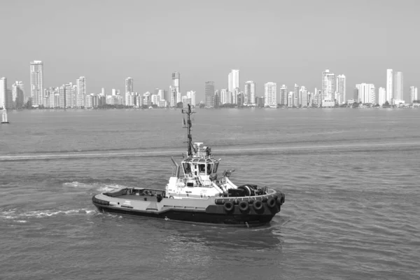 Die Stadt Hong Kong — Stockfoto