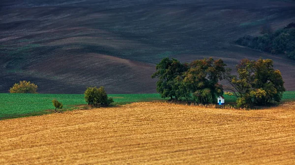Вид Воздуха Поле Пшеничных Полей Летом — стоковое фото