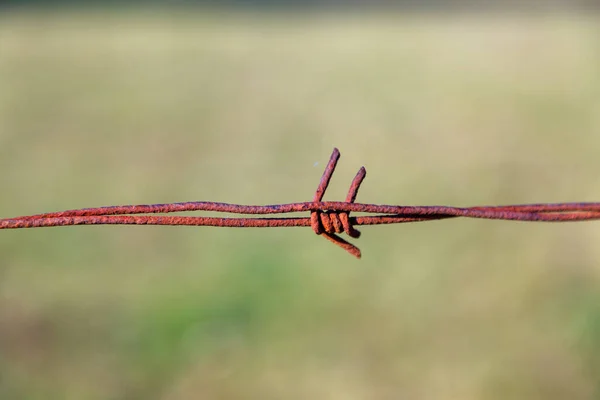 Prikkeldraad Aan Een Touw — Stockfoto