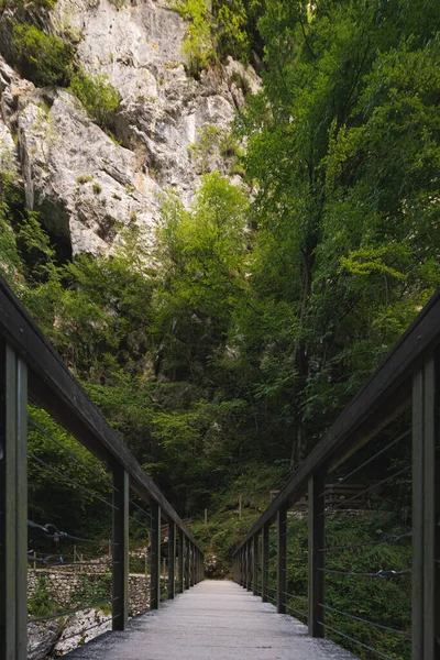 Puente Madera Bosque — Foto de Stock