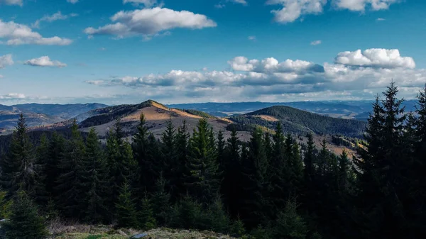 Schöne Landschaft Mit Bergen Und Wald — Stockfoto