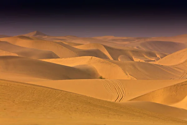 Beautiful View Sand Dunes — Stock Photo, Image