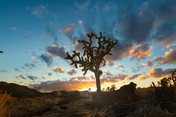 Όμορφο Ηλιοβασίλεμα Στην Έρημο — Φωτογραφία Αρχείου
