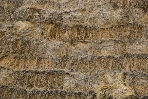 Brown Hay Top View Background — Stock Photo, Image