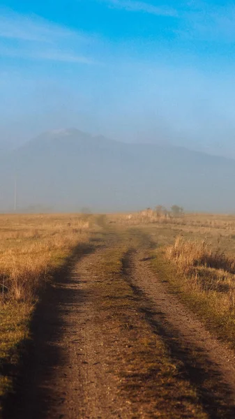 Bellissimo Paesaggio Con Campo Alberi — Foto Stock