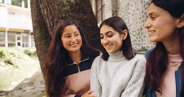 Grupo Diversas Mujeres Jóvenes Parque —  Fotos de Stock