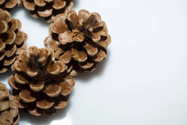 Pine Cones White Background — Stock Photo, Image