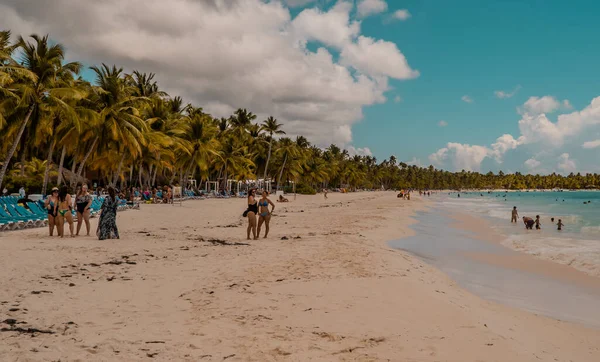 Пляж Пальмами Голубым Небом — стоковое фото