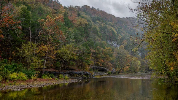 Beau Paysage Avec Rivière Forêt — Photo