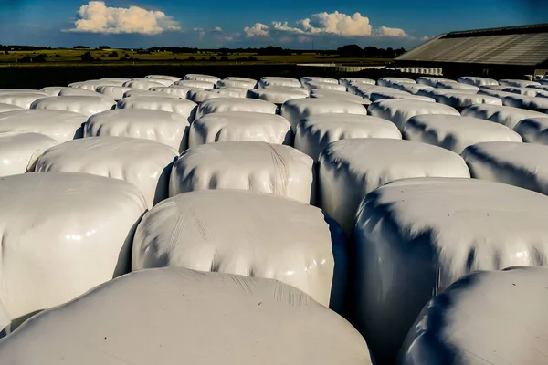 Rows White Blue Sky Clouds — Stock Photo, Image