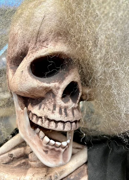 Crâne Avec Une Tête Squelette — Photo