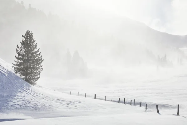 Bela Paisagem Inverno Com Árvores Cobertas Neve — Fotografia de Stock