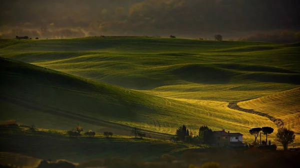 Bellissimo Paesaggio Con Campo Erba Verde Cielo Nuvoloso — Foto Stock