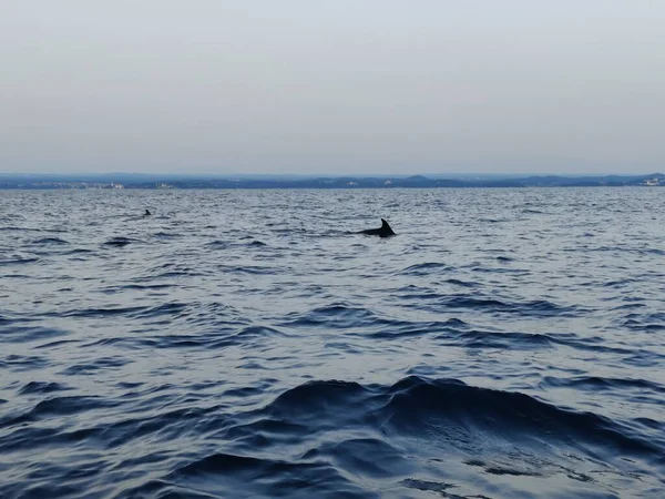 Vagues Mer Dans Océan — Photo