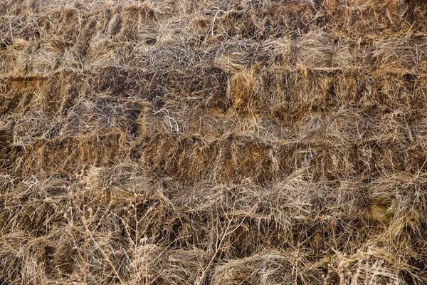 Brown Hay Top View Background — Φωτογραφία Αρχείου