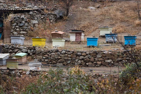Bijenkorven Bijenstal — Stockfoto