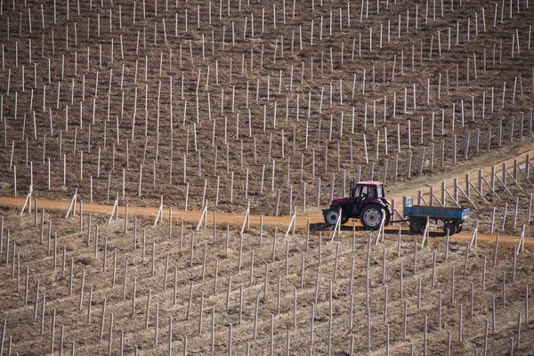 Vista Aérea Del Tractor Campo — Foto de Stock