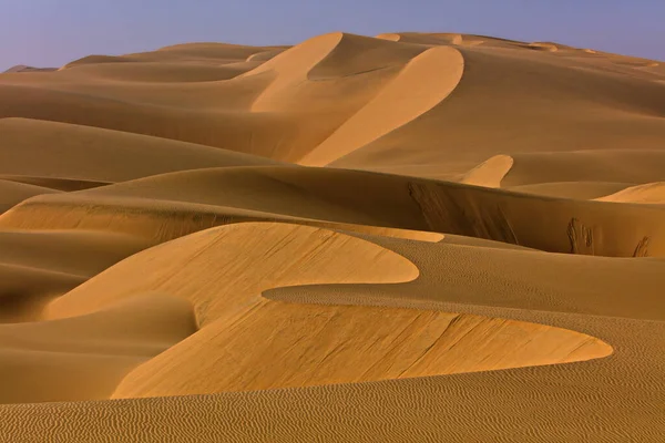 Beautiful View Dunes Selective Focus — Stock Photo, Image