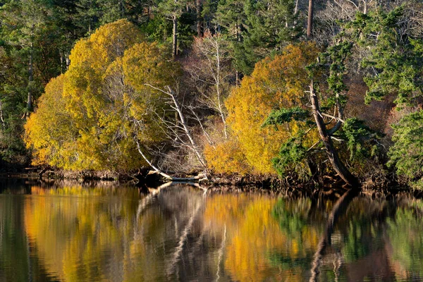 Podzimní Barvy Esquimalt Lagoon Victoria Canada — Stock fotografie