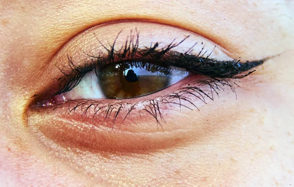 Primer Plano Del Ojo Femenino Con Ojos Azules —  Fotos de Stock