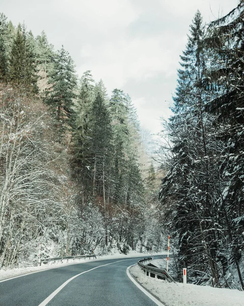 Weg Het Bos — Stockfoto