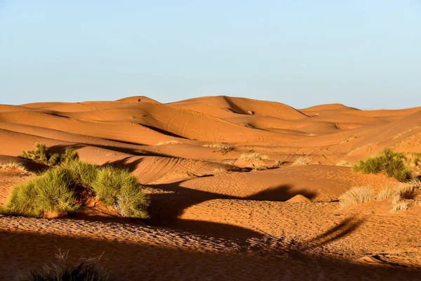 纳米布山谷沙漠的美丽风景 纳米巴 — 图库照片