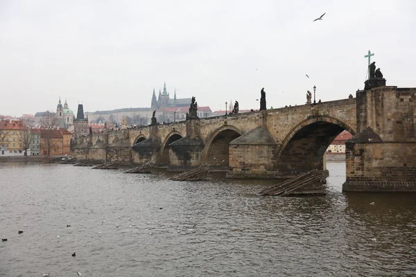 Karelsbrug Praag Tsjechië — Stockfoto