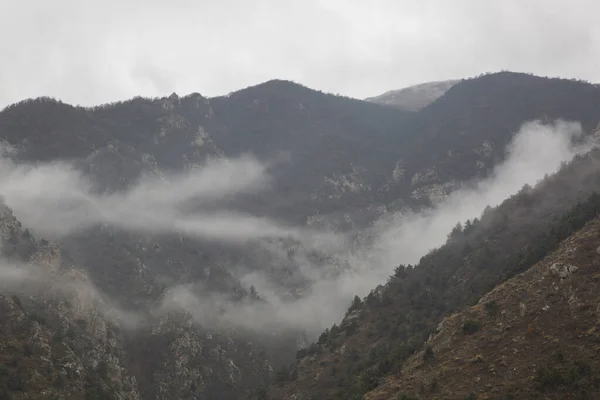 Mountain View Tiene Una Hermosa Niebla Matutina — Foto de Stock