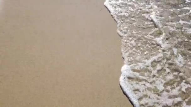 Μια Όμορφη Θέα Της Ακτής Και Της Θάλασσας — Αρχείο Βίντεο