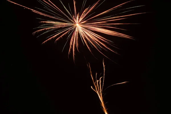 Fogo Artifício Colorido Fundo Céu Preto — Fotografia de Stock