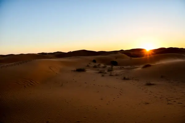 Hermoso Atardecer Desierto — Foto de Stock