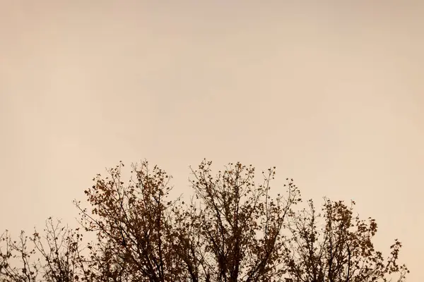 Prachtig Uitzicht Natuur Scene — Stockfoto