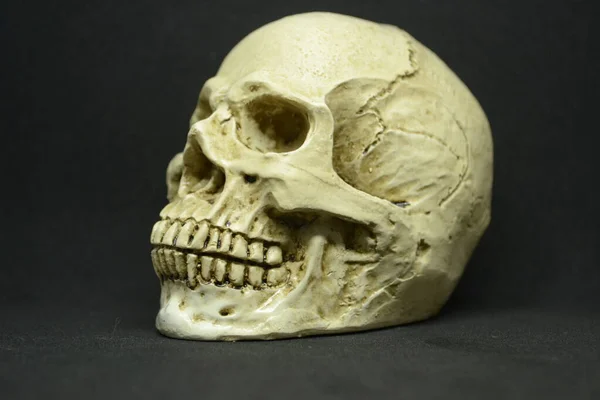 Crânio Humano Com Ossos Fundo Preto — Fotografia de Stock