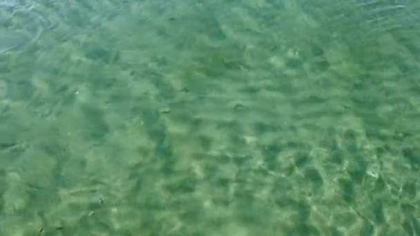 Hautnah Schönes Transparentes Meerwasser — Stockvideo