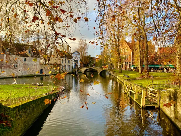 Prachtig Uitzicht Stad Van Het Park — Stockfoto