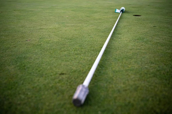 Golf Ball Green Grass — Stock Photo, Image