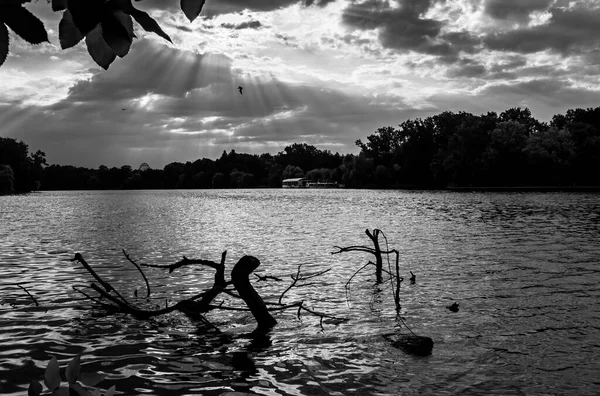 美しい湖の白と黒の写真 — ストック写真