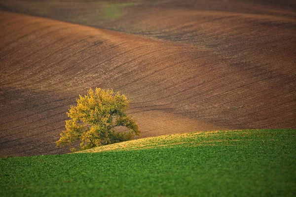 Schöne Aussicht Auf Die Natur — Stockfoto