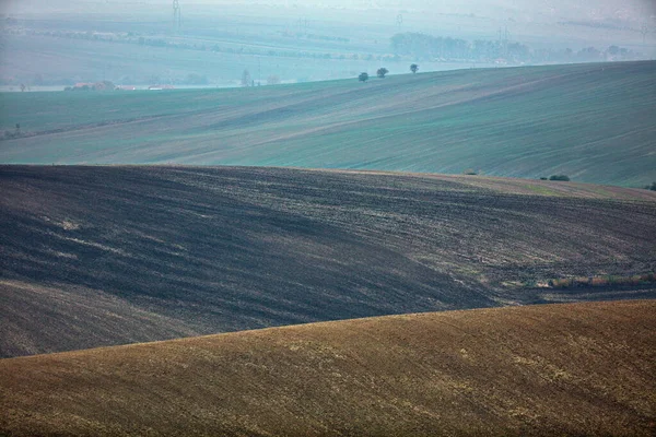朝の畑や丘の空中風景は — ストック写真