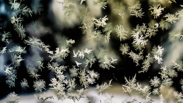 Abstrakter Hintergrund Mit Schneeflocken — Stockfoto