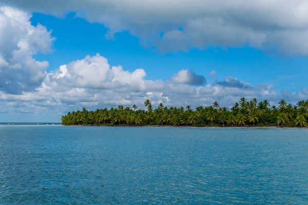 Beautiful Tropical Beach Palm Trees Blue Sky — Stock Photo, Image